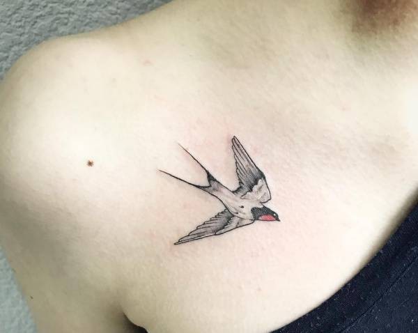 Betekenissen & inspiratie Dieren  Zwaluw tattoo: betekenissen en 30 tattoo ideeën