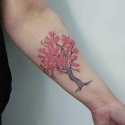 Bomen tattoo: betekenissen en 55 tattoo ideeën