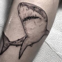 Haaien tattoos: betekenis en 20 ideeën