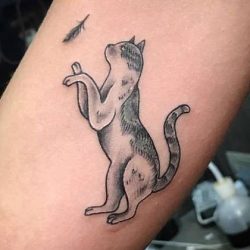 Katten tattoos: betekenis en 50 tattoo ideeën