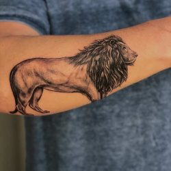 Leeuw tattoo: betekenis en 50 tattoo ideeën