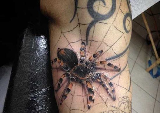 Spinnen tattoo betekenis &amp; 40 inspirerende tattoo ideeën