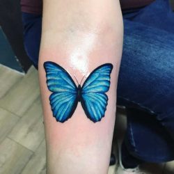 Vlinder tattoo: betekenis en 100 ideeën ter inspiratie